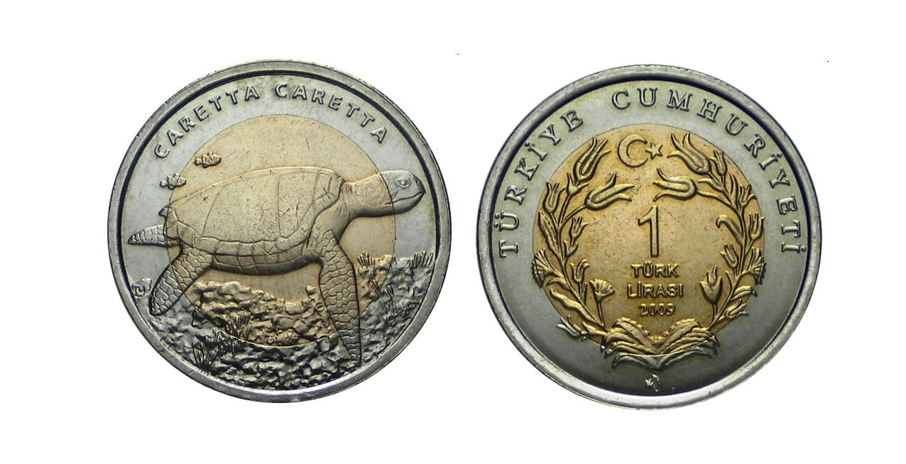 Turcja 1 lira Żółw 2009