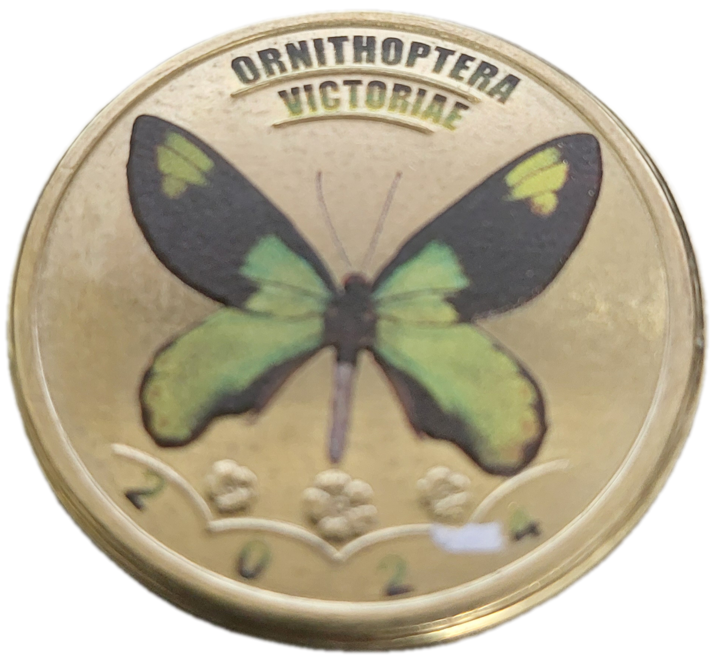 La Palma 5 dukatos motyl 2024