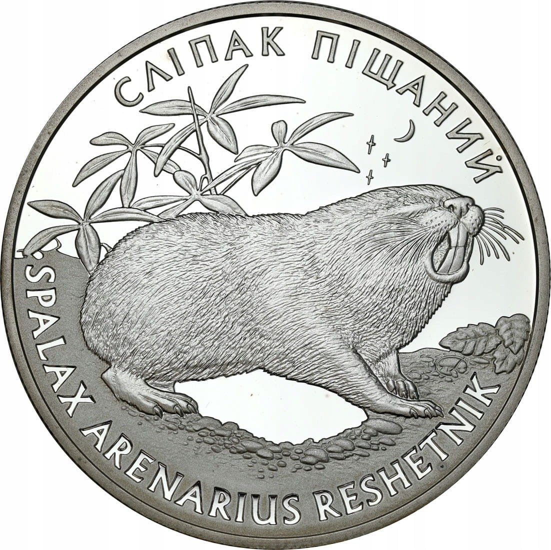 UKRAINA 10 UAH Ślepak piaskowy 2005