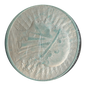 10 złotych Polonia 1932 b.z.