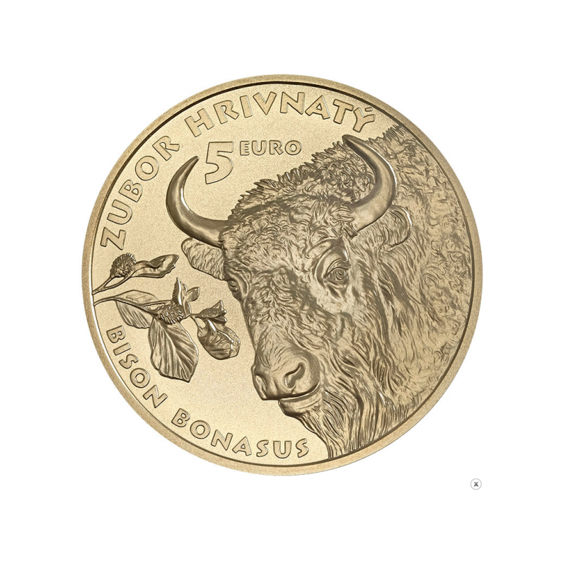 5 euro Słowacja Żubr 2024