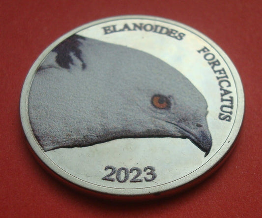 Bahamy New Providence 3$ Jaskólak 2023