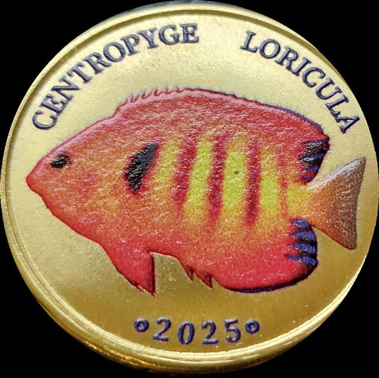 Malezja Labuan 5 ringit Centropyge Loricua 2025