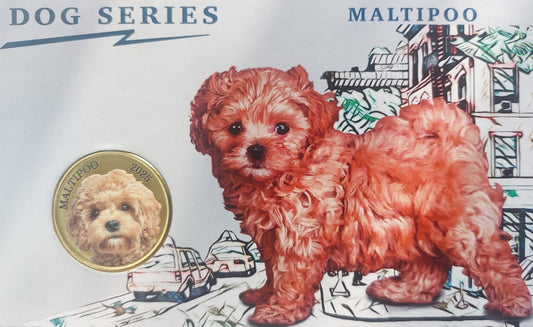 Mjanma Pagan 3 $ Psy - Maltipoo 2025