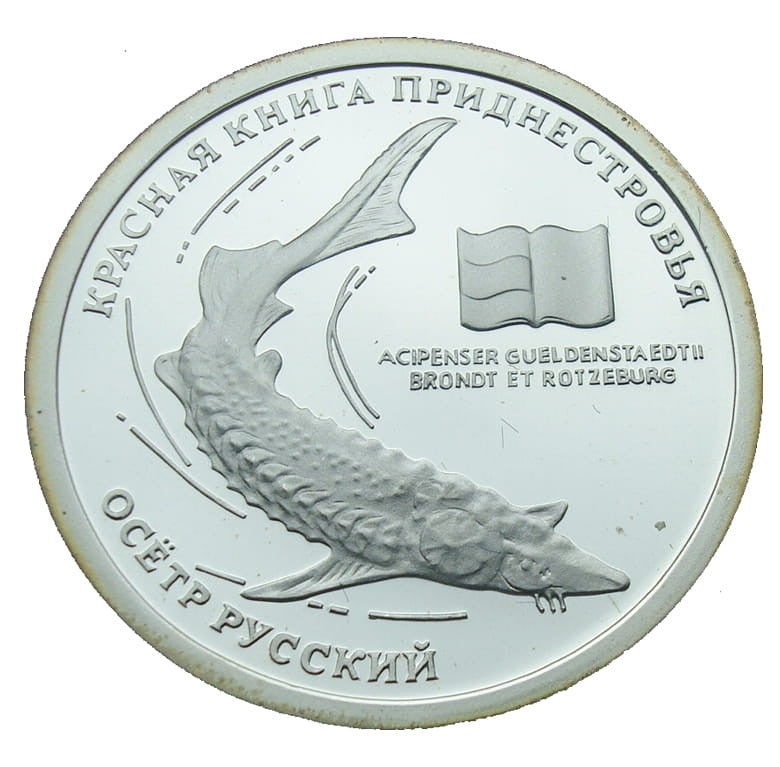 Naddniestrze 10 rubli Jesiotr 2008