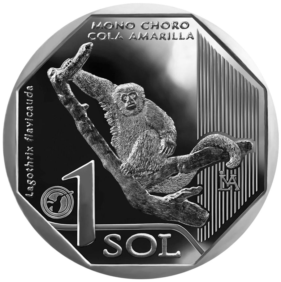 Peru 1 sol Wełniak żółty 2019