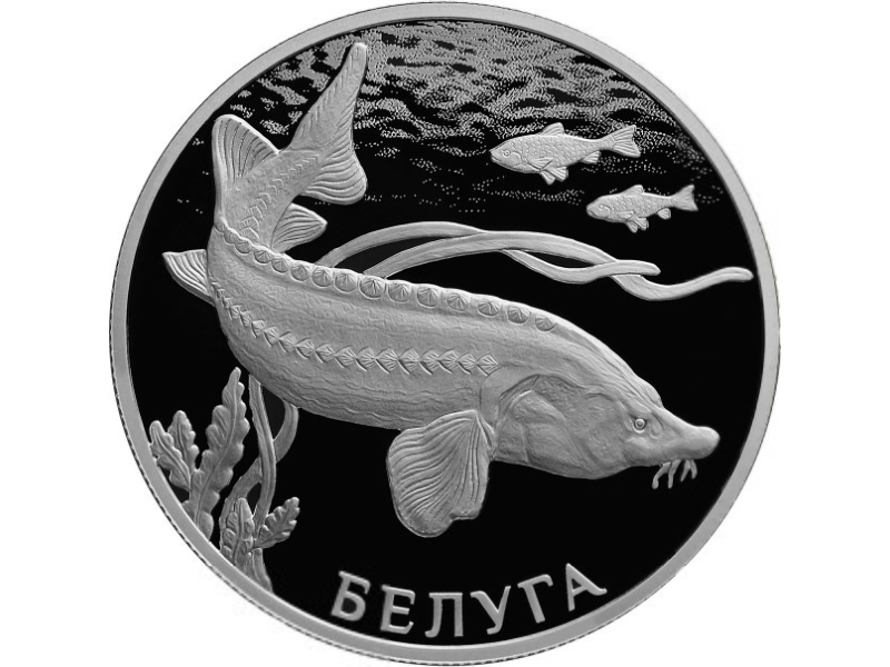 Rosja 2 ruble Bieługa 2019 Ag