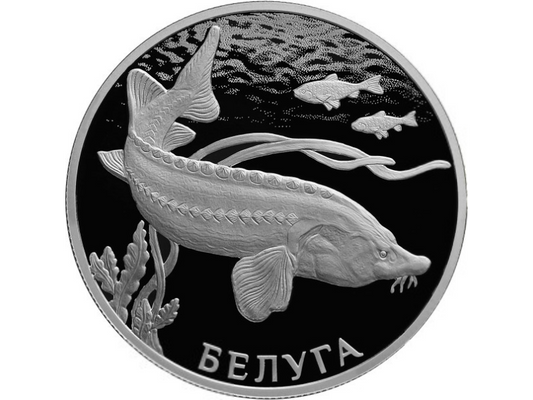 Rosja 2 ruble Bieługa 2019 Ag