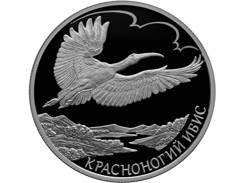 Rosja 2 ruble Ibis czubaty 2019 Ag