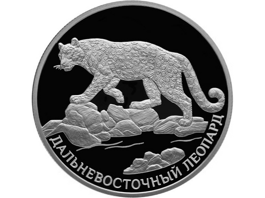 Rosja 2 ruble Lampart amurski 2019 Ag