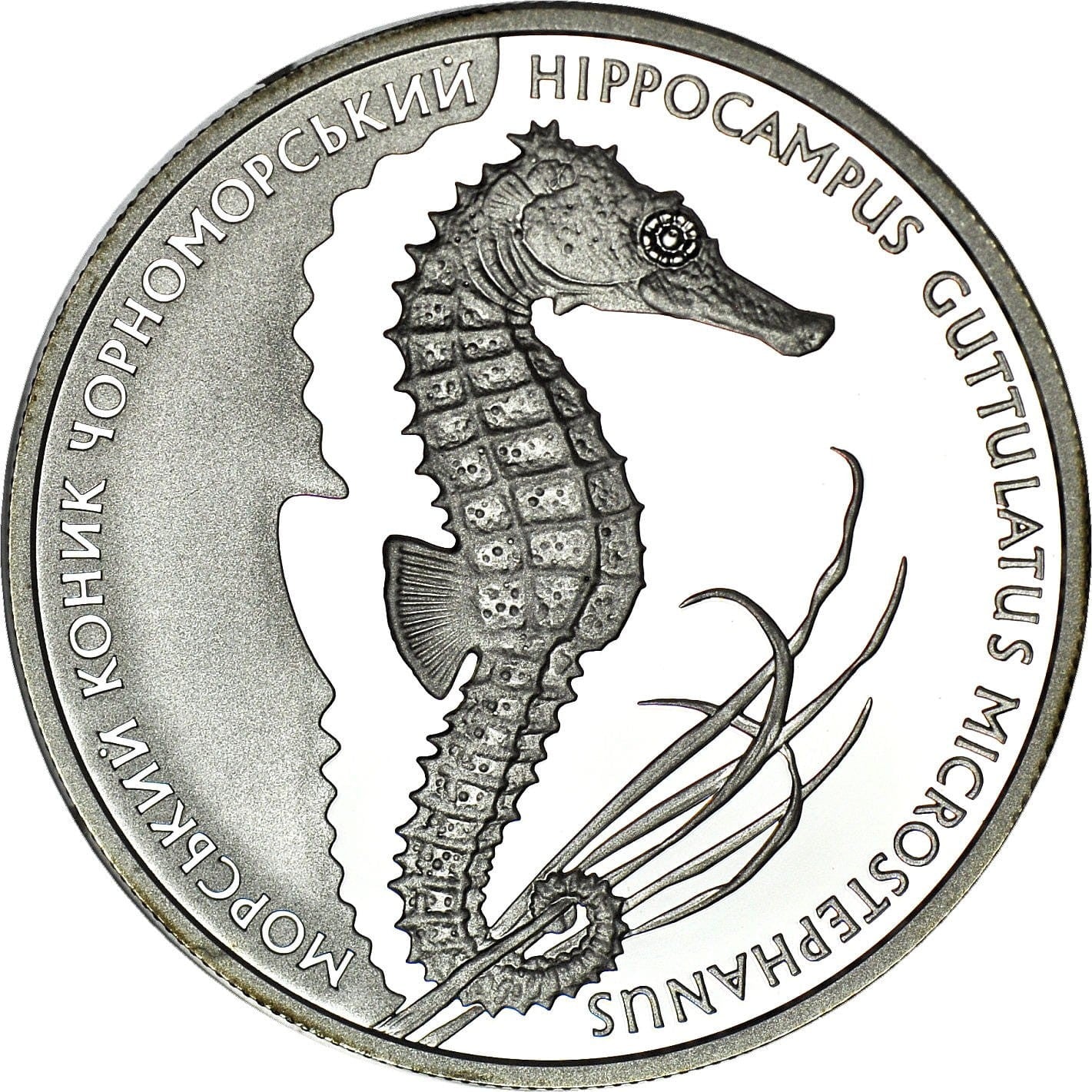 UKRAINA 10 UAH konik morski 2003