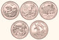USA 25 c Parki narodowe x5 2016 platerowane złotem